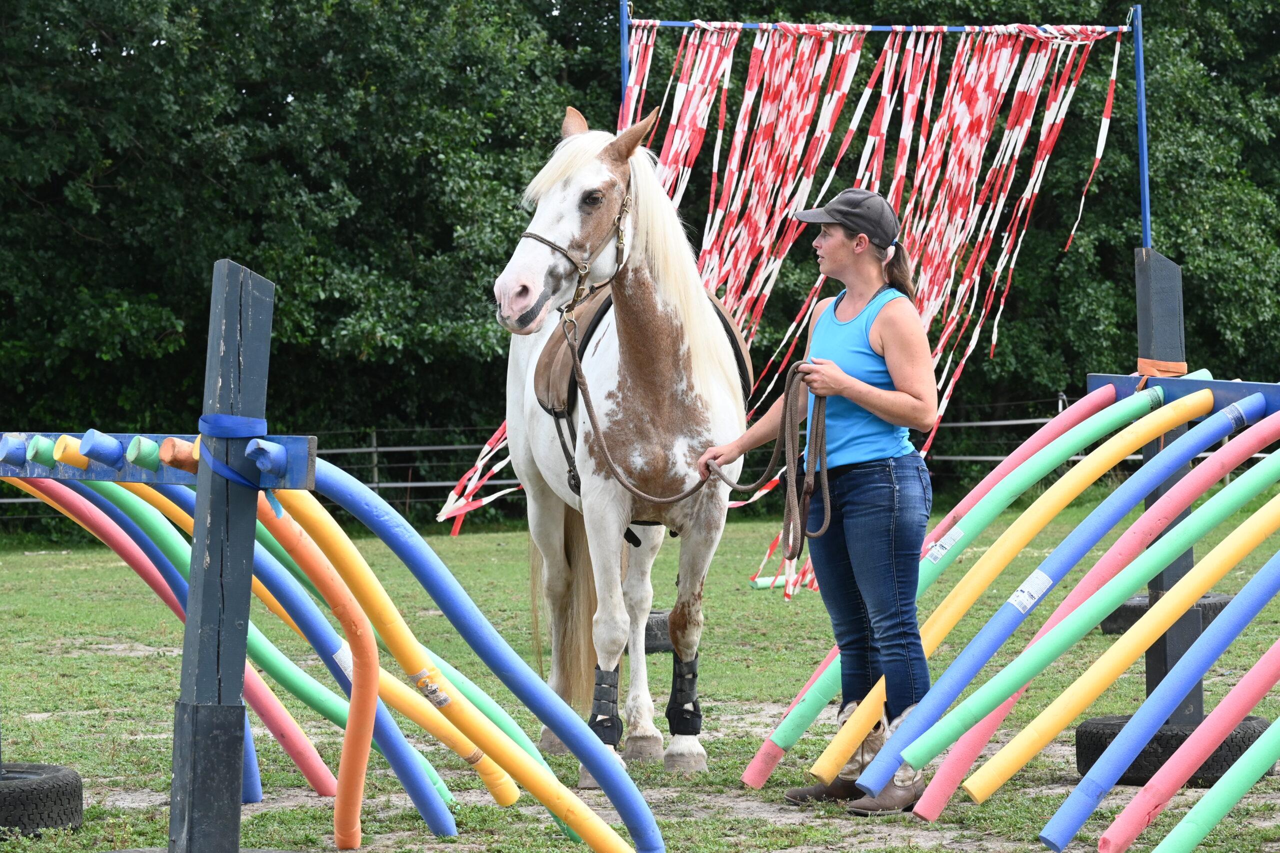 Stefanie Panreck und Mustang 'Ella' im Parcours. (Foto: RSA/Pfaff)