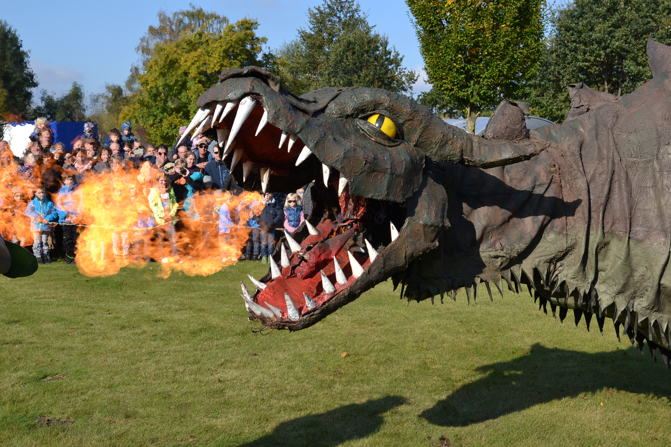 Das Drachenfest am Sonntag, 20. Oktober, bildet den Abschluss der Sommersaison im Gartenschaupark. Von 11 bis 18 Uhr gibt es 