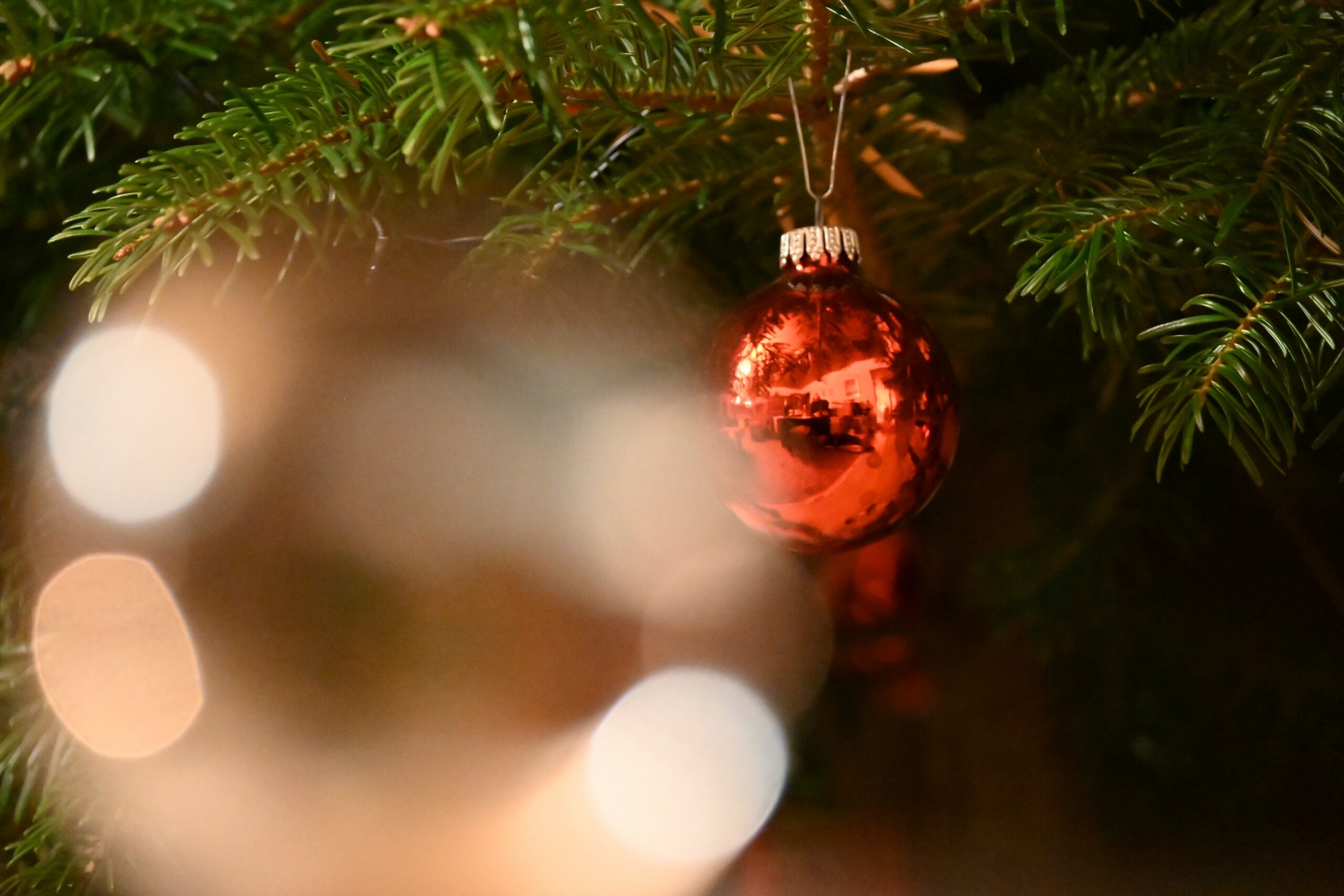 Geschmückter Weihnachtsbaum (Foto: RSA/Pfaff)